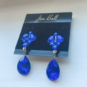 Jim Ball Pageant/ Prom Earrings💙✨
